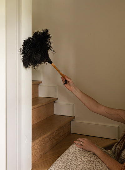The Feather Duster