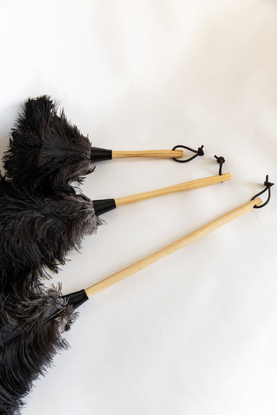 The Feather Duster
