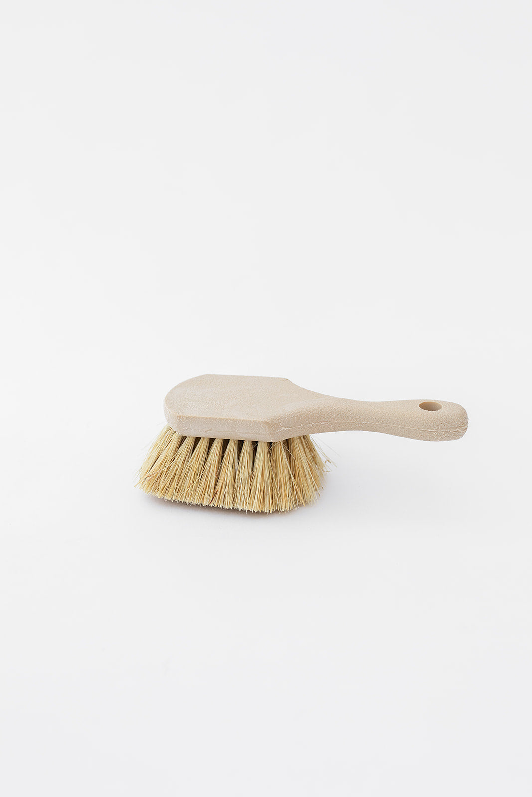 The Dry Brush with Handle