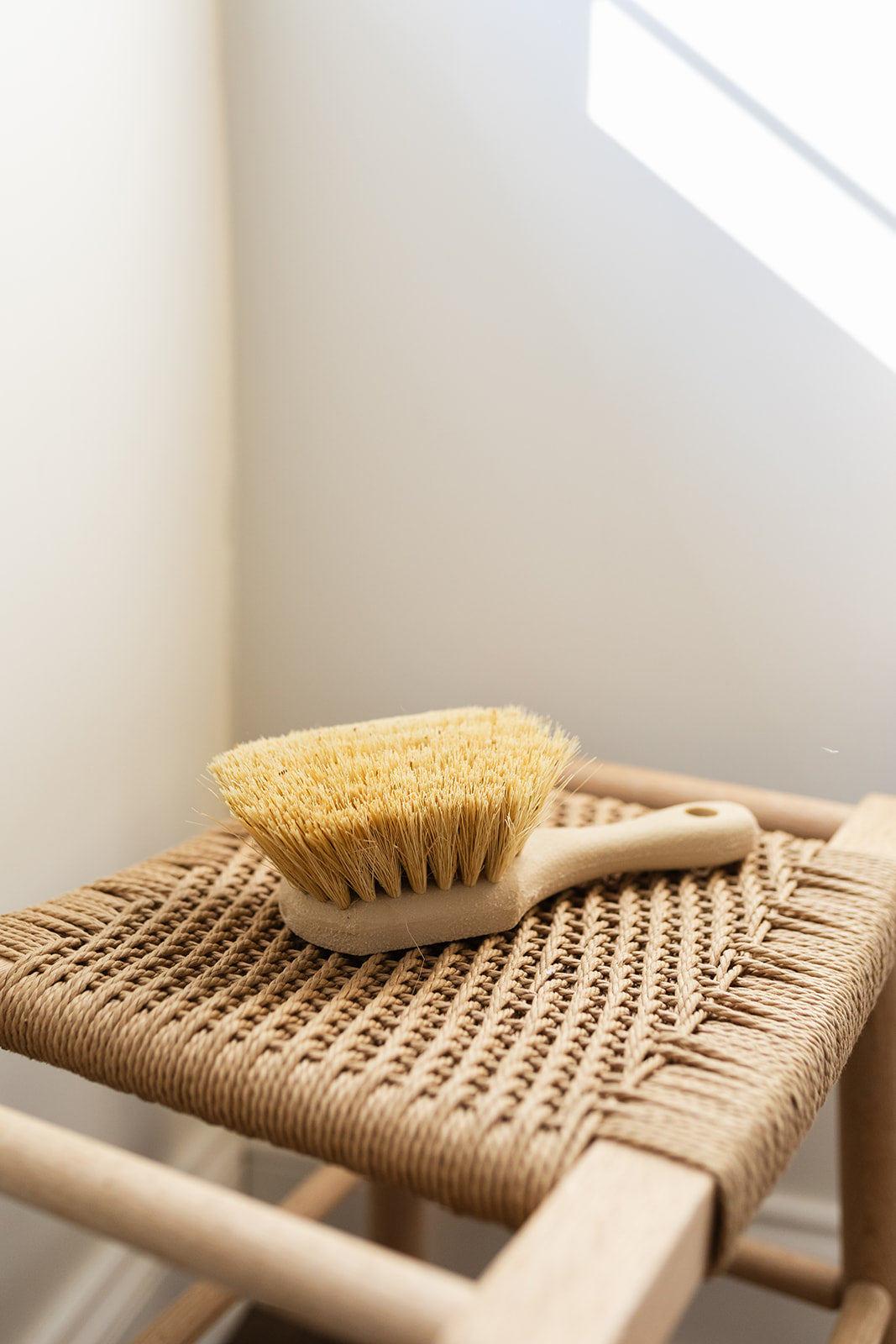 The Dry Brush with Handle